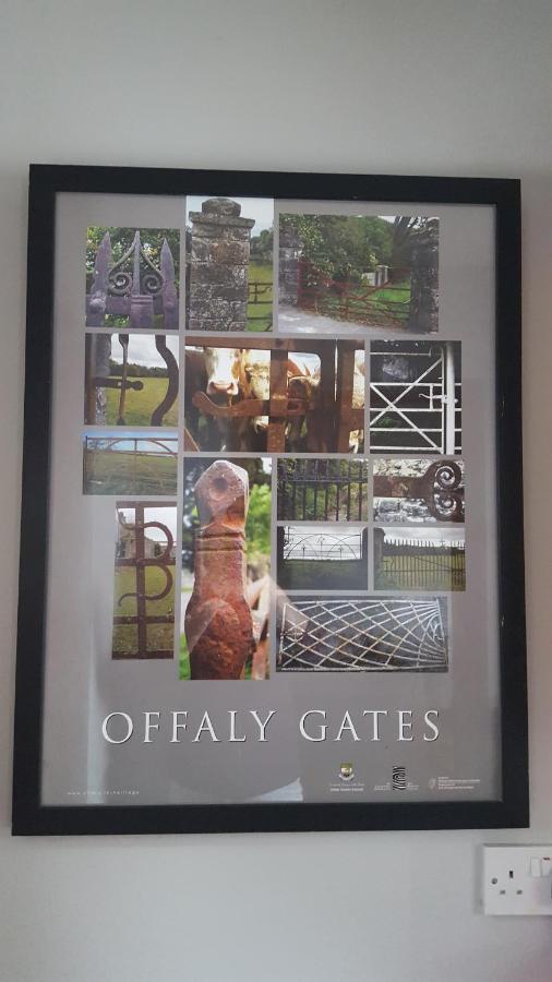 Gormanstown House Apt, The Island Tullamore Bagian luar foto