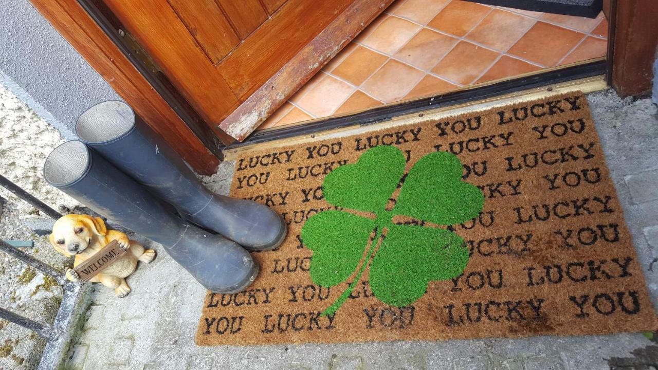 Gormanstown House Apt, The Island Tullamore Bagian luar foto