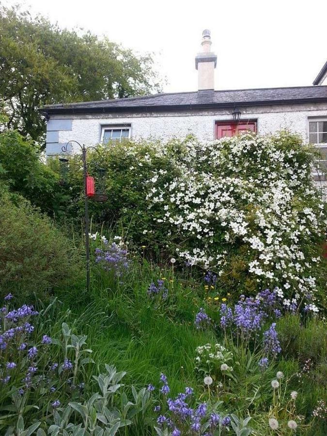 Gormanstown House Apt, The Island Tullamore Bagian luar foto